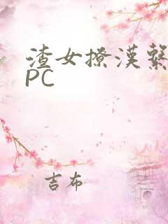 渣女撩汉系统NPC