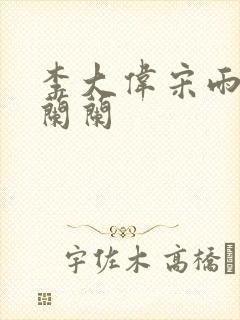 李大伟宋雨睛孙兰兰