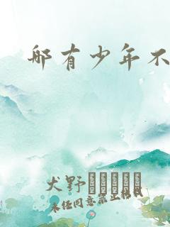 哪有少年不戴花