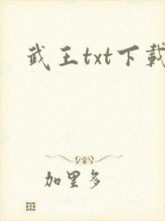 武王txt下载