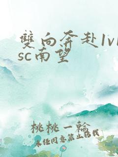 双向奔赴1v1sc南望