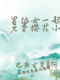 男插女一起爽的免费樱花小视频