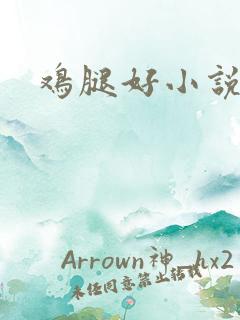 鸡腿好小说网