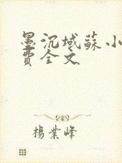 墨沉域苏小柠免费全文