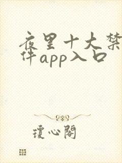 夜里十大禁用软件app入口