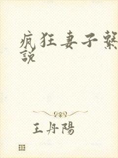 疯狂妻子系列小说