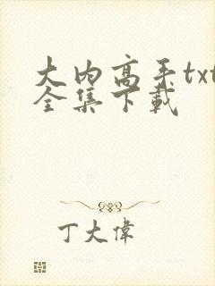 大内高手txt全集下载