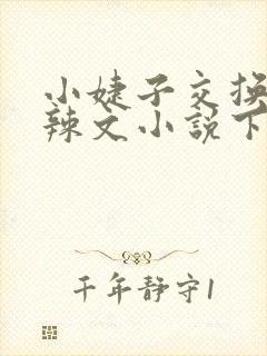 小婕子交换系列辣文小说下载