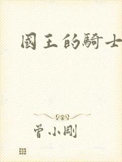 国王的骑士