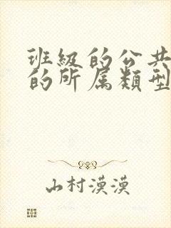 班级的公共小0的所属类型