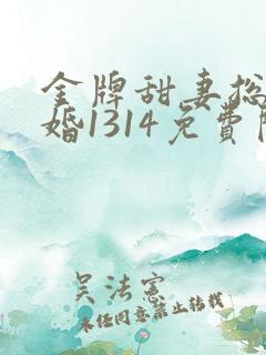 金牌甜妻总裁宠婚1314免费阅读