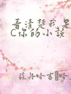 看清楚我是怎么C你的小说