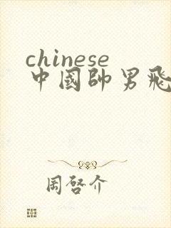 chinese中国帅男飞机