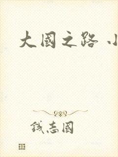 大国之路 小说