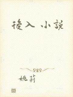 后入 小说