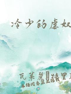 冷少的虐奴