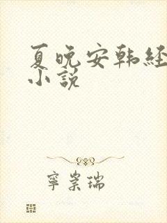 夏晚安韩经年的小说