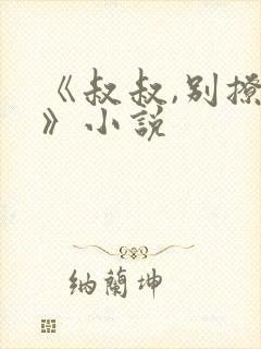 《叔叔,别撩我》小说