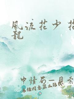 风流花少 花睿龙
