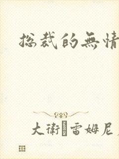 总裁的无情游戏