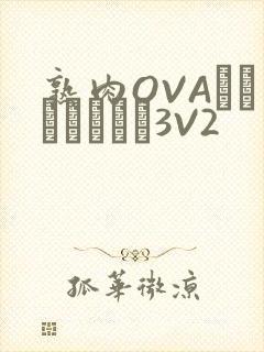 熟肉OVAちゃんはしたい3V2