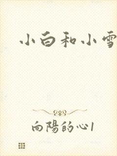 小白和小雪