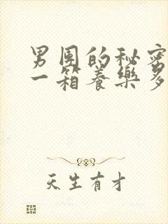 男团的秘密BY一箱养乐多小说