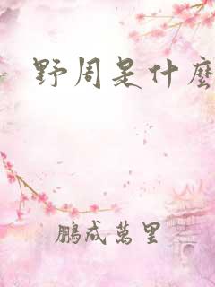 野周是什么意思