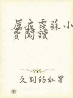 厉夜霆苏小汐免费阅读