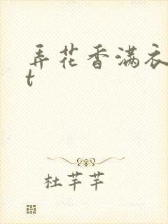 弄花香满衣txt