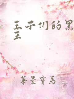 王子们的黑道公主