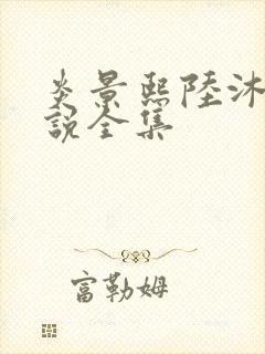 炎景熙陆沐擎小说全集