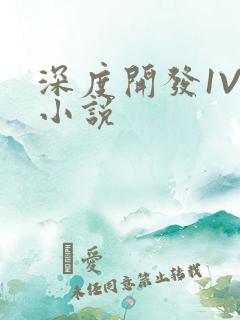 深度开发1V3小说