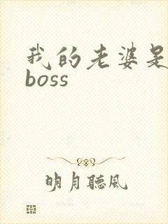 我的老婆是青楼boss