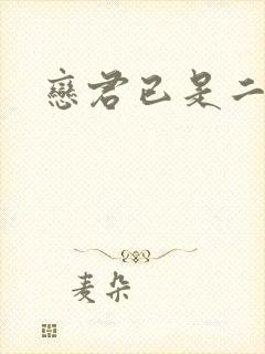 恋君已是二十年