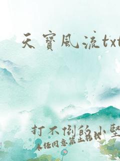 天宝风流txt