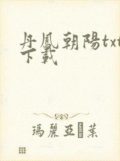 丹凤朝阳txt下载