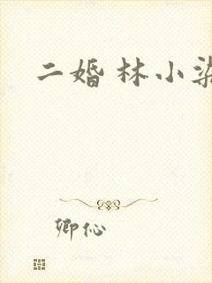 二婚 林小染