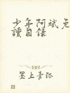 少年阿斌免费阅读目录