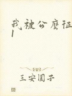 我被公么征服了1