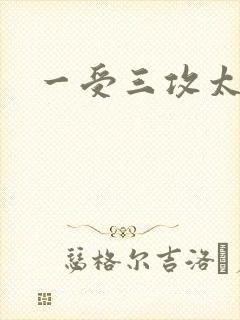 一受三攻太涨了