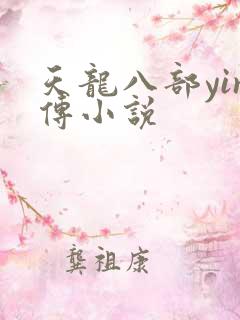 天龙八部yin传小说