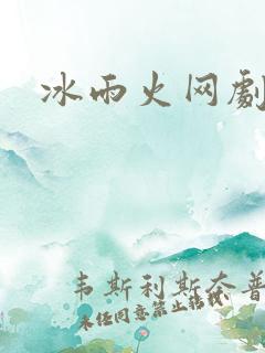 冰雨火网剧小说