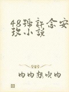 48号许念安穆玫小说