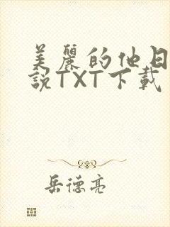 美丽的他日剧小说TXT下载