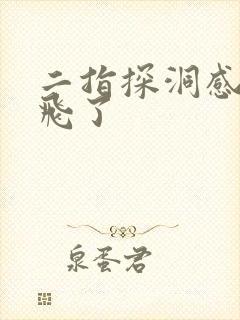 二指探洞感觉要飞了