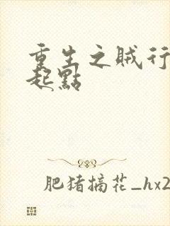 重生之贼行天下起点