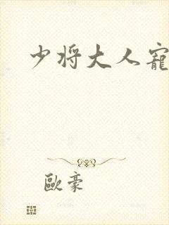 少将大人宠宠我