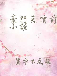 豪门天价前妻 小说