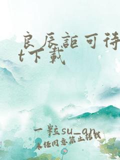 良辰讵可待txt下载